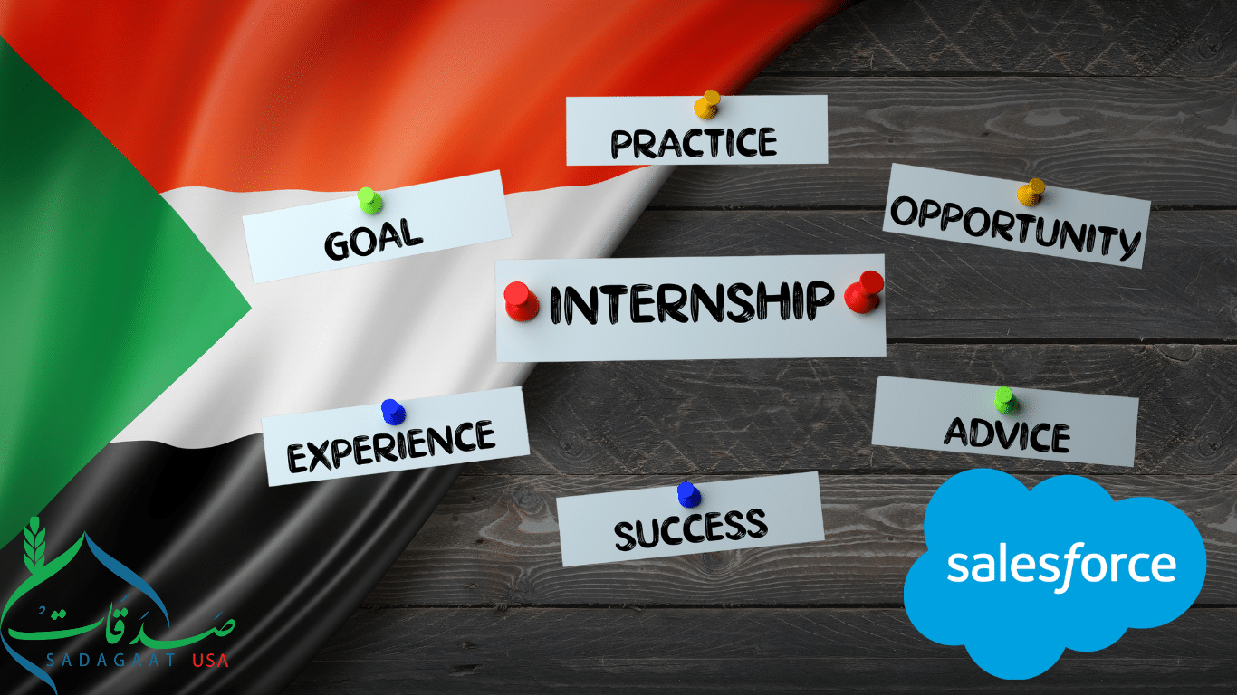 Sadagaat salesforce Internship